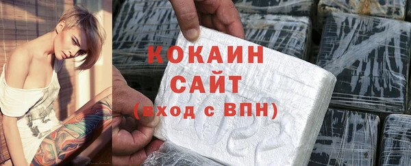 прущие грибы Калининец
