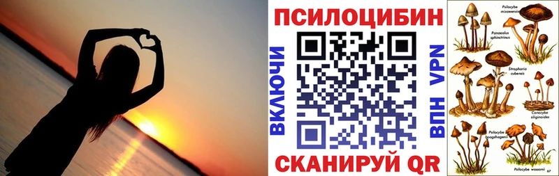 где купить наркоту  Сосногорск  Галлюциногенные грибы Cubensis 